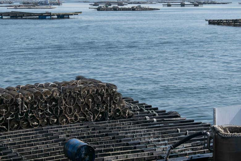 Bateas en la Ría de Vigo