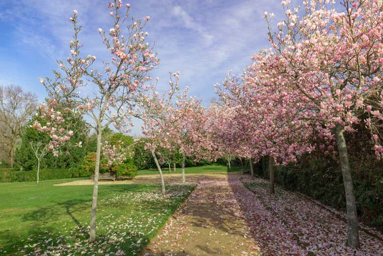 I giardini della tenuta