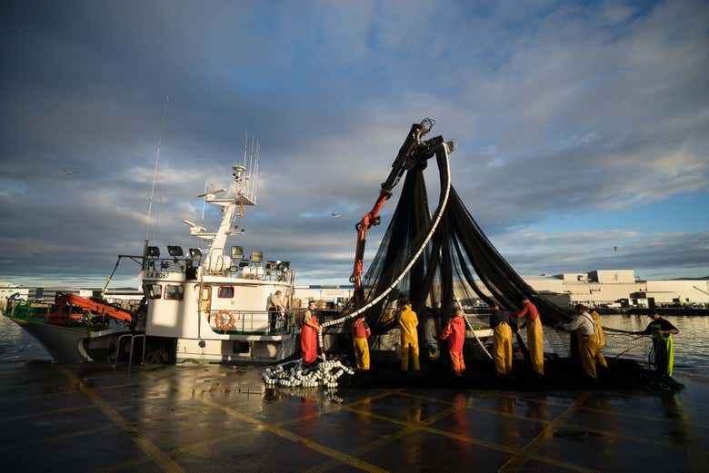 Pescadores del puerto vigués