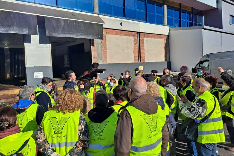 Visitando el puerto pesquero de Vigo