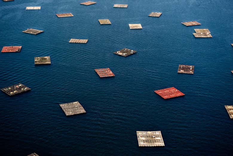 Vistas de las bateas en la ría de Vigo