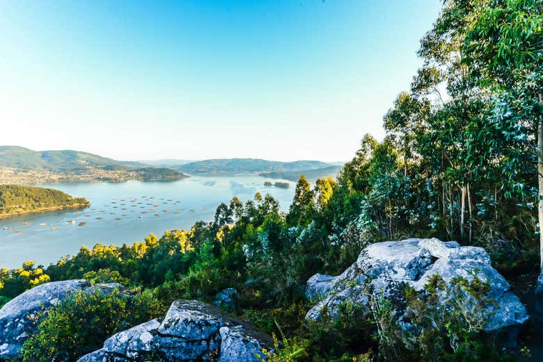 Vistas da ilha de San Simón