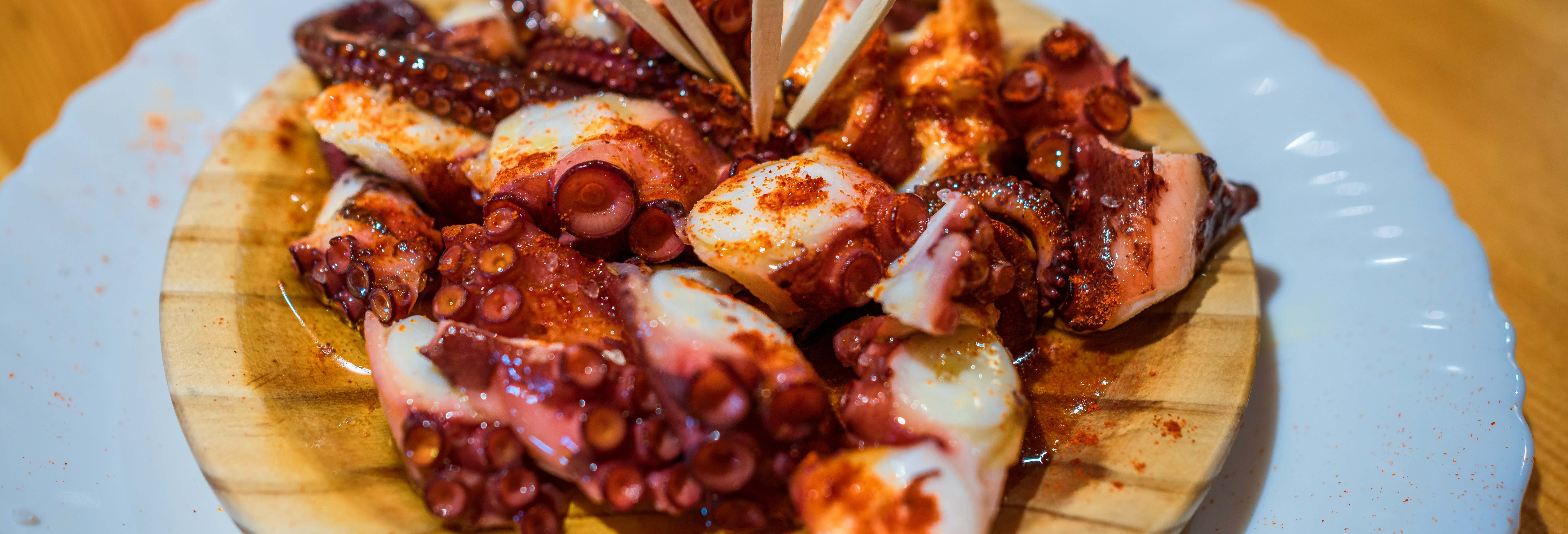 Gastronomía y enoturismo en Vigo