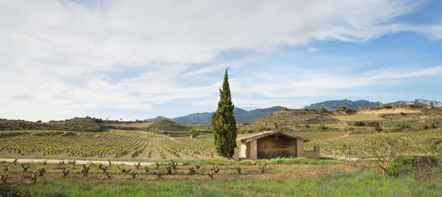 Visita a las bodegas Izadi