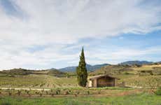 Visita a las bodegas Izadi