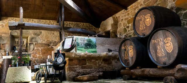 Visita guiada por el Pazo de Rubianes