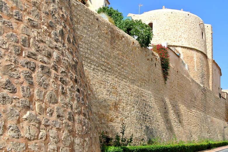 Murallas del castillo medieval