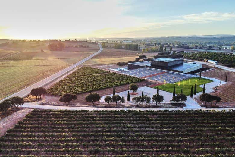 Vue sur les vignobles