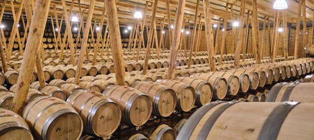 Bela Winery Visit