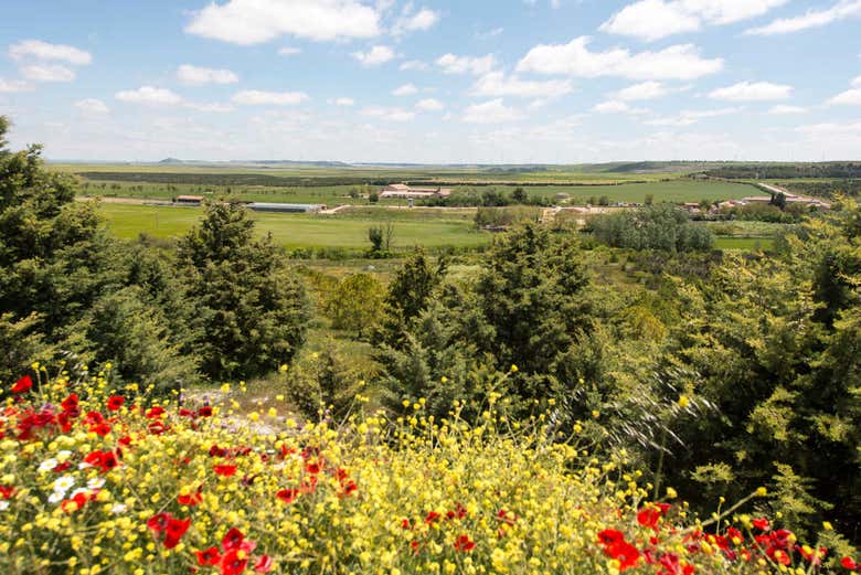 Vista panorámica de la finca de Matallana