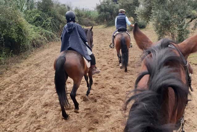 Cabalgando por el entorno sevillano de Doñana