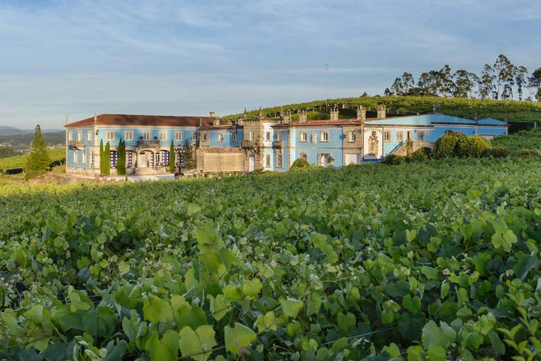 Panorámica de la bodega Granbazán