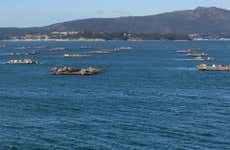 Estuary Cruise + Mussel Tasting