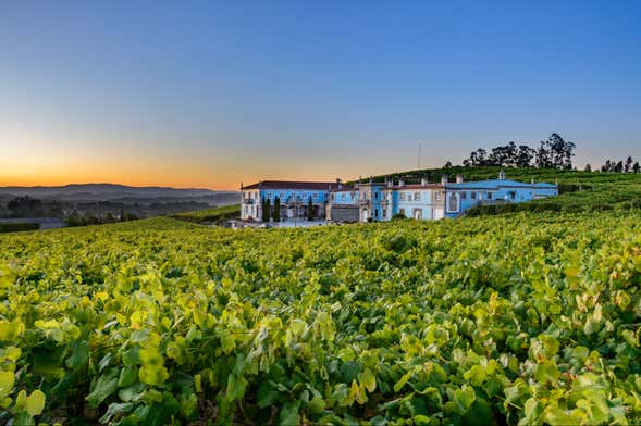 Visita a la bodega Granbazán