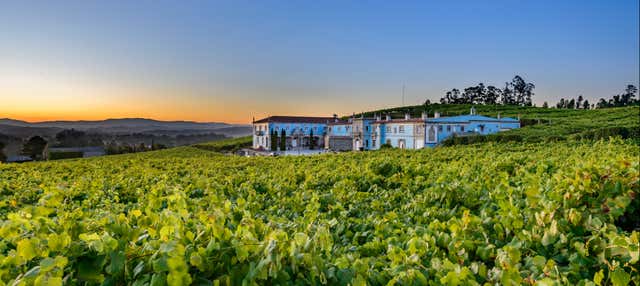 Visita a la bodega Granbazán