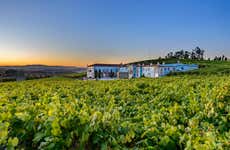 Visita a la bodega Granbazán