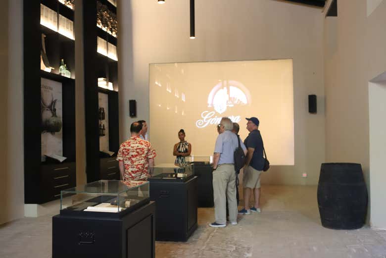 Conociendo la historia de las bodegas Góngora