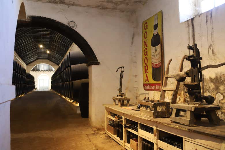 Instalaciones de las bodegas Góngora