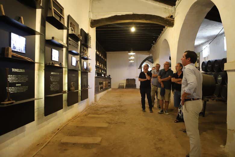 Visitando las instalaciones de las bodegas Góngora