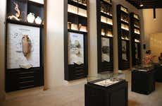 Visita a las bodegas Góngora