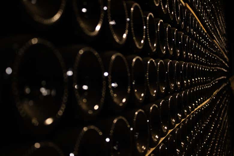 Botellas de cava en la bodega