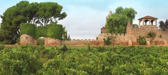 Visita à vinícola Jaume Serra