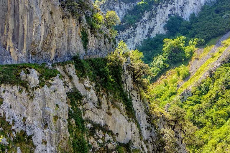Contemplating the nature of the Las Xanas Gorge