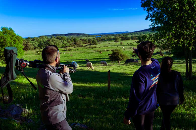 Contemplando los paisajes de Monfragüe