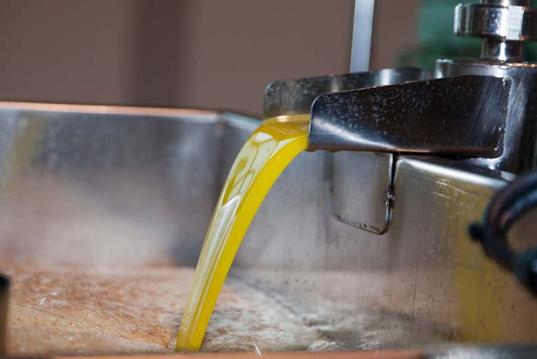 Vous découvrirez également le moulin à huile d'olive du domaine