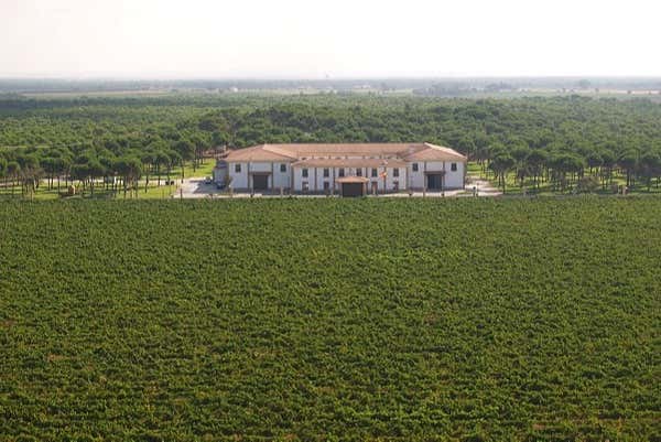 Vue panoramique sur le domaine