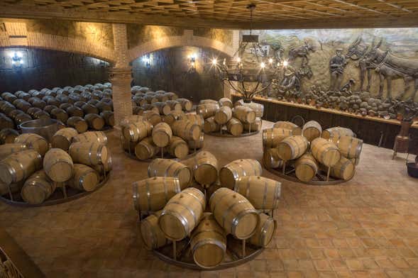 Castillo de Aresan Winery Tour