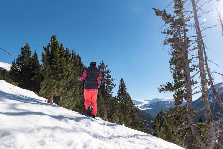Durante el paseo con raquetas de nieve