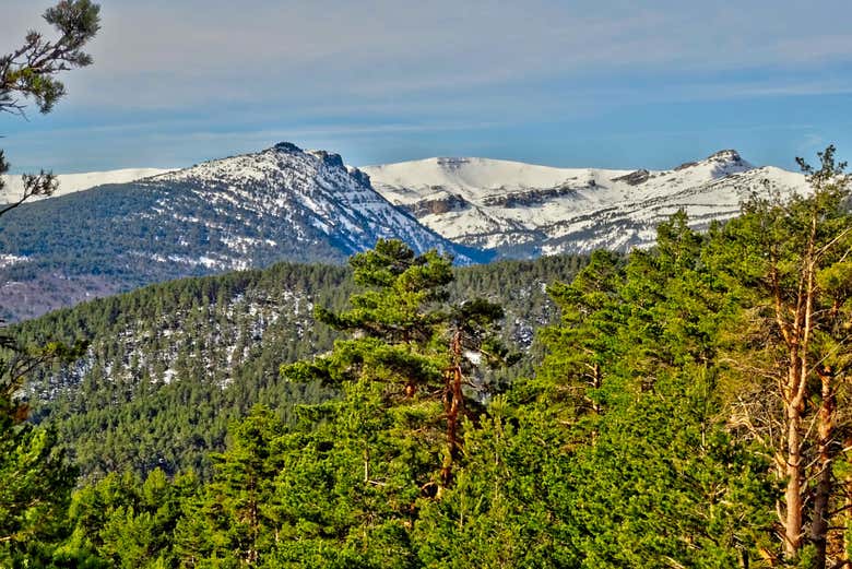 Paisaje de la sierra de Urbión