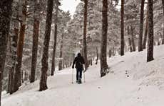 Paseo con raquetas de nieve por la sierra de Urbión