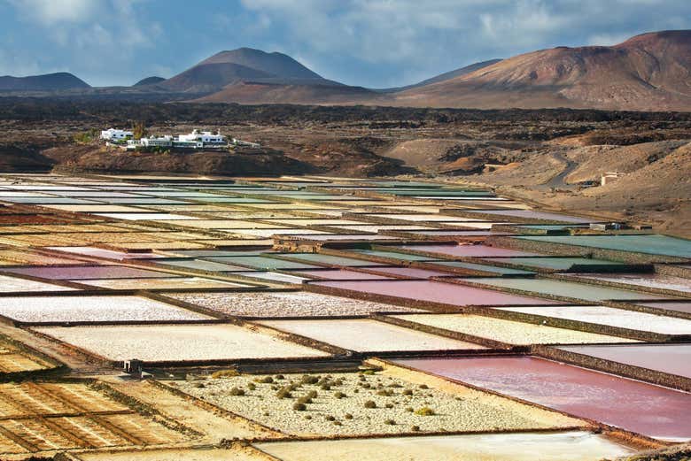 Salinas de Janubio