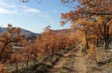 Quejigares de Barriopedro & Brihuega Hiking Tour