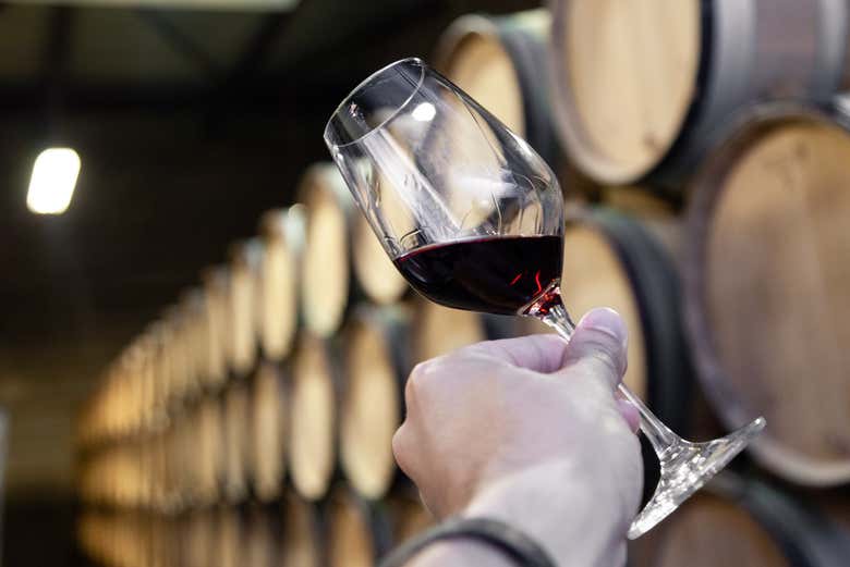 Durante la degustazione a Bodegas y Viñedos Casa del Valle