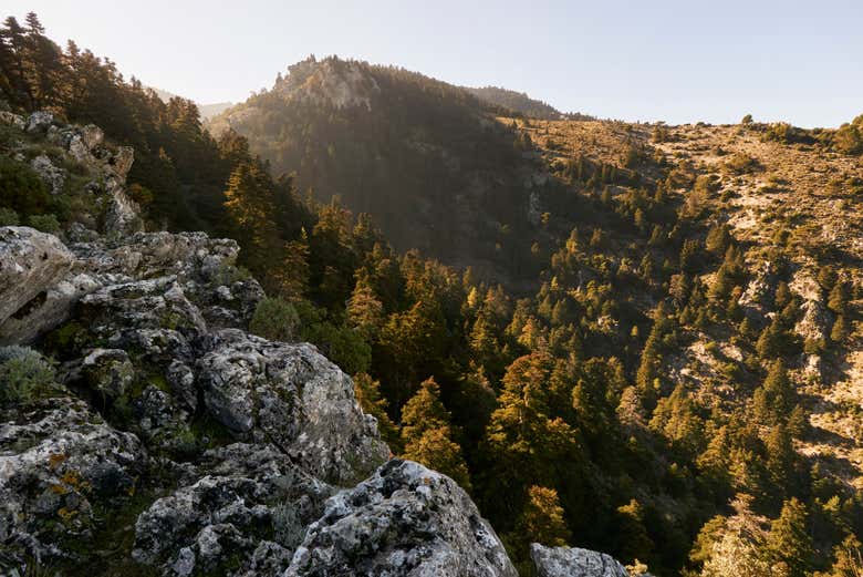 An aerial view of the Sierra de las Nieves National Park
