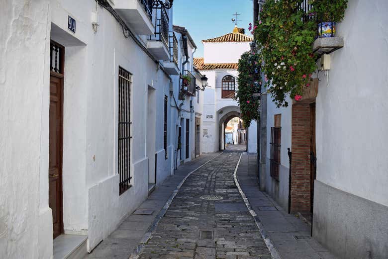 Ruelas de Zafra
