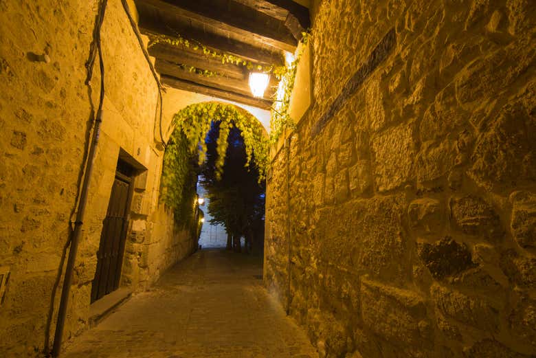 Profitez du free tour de nuit dans Zamora