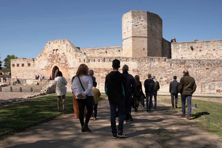 Admirez le château de Zamora