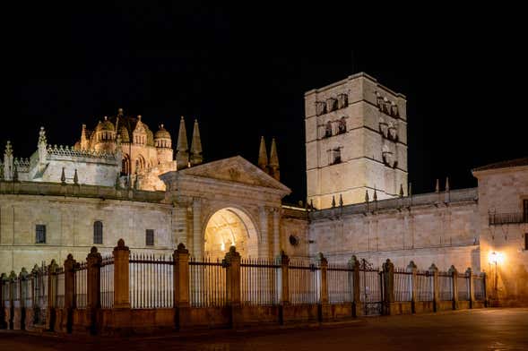 Tour nocturno por Zamora