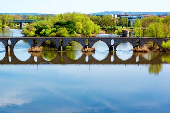 Tour por la Zamora medieval