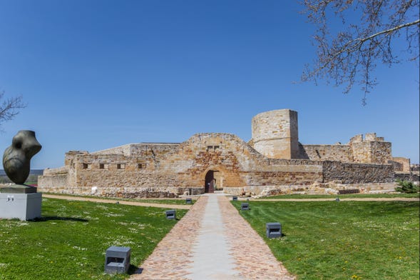 Visita guiada por Zamora e pelo seu castelo