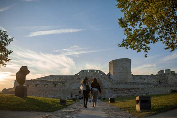 Visita guiada por Zamora e pelo seu castelo