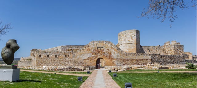 Visita guiada por Zamora y su castillo
