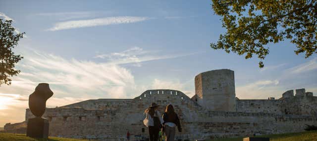 Visita guiada por Zamora y su castillo