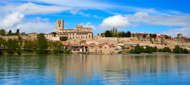 Visita guiada por Zamora