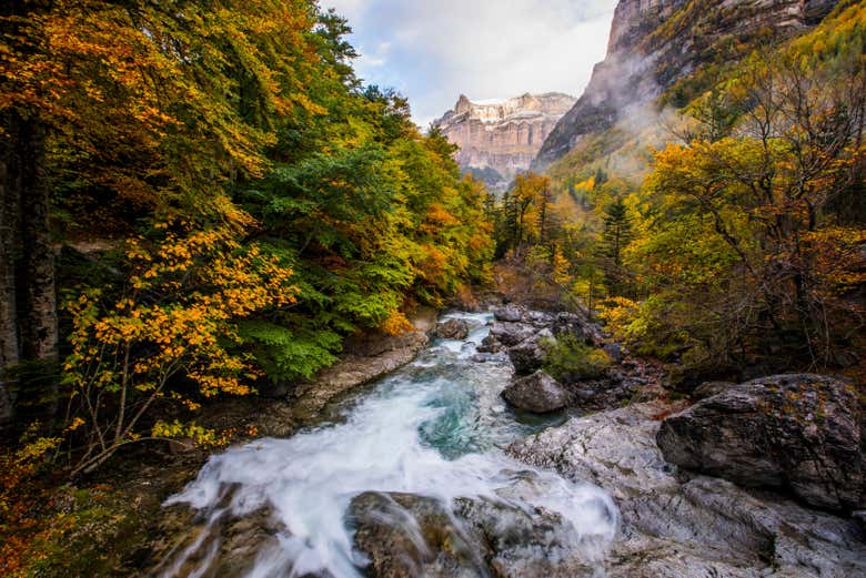 Um rio rodeado por árvores outonais