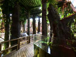 Recorriendo el acuario